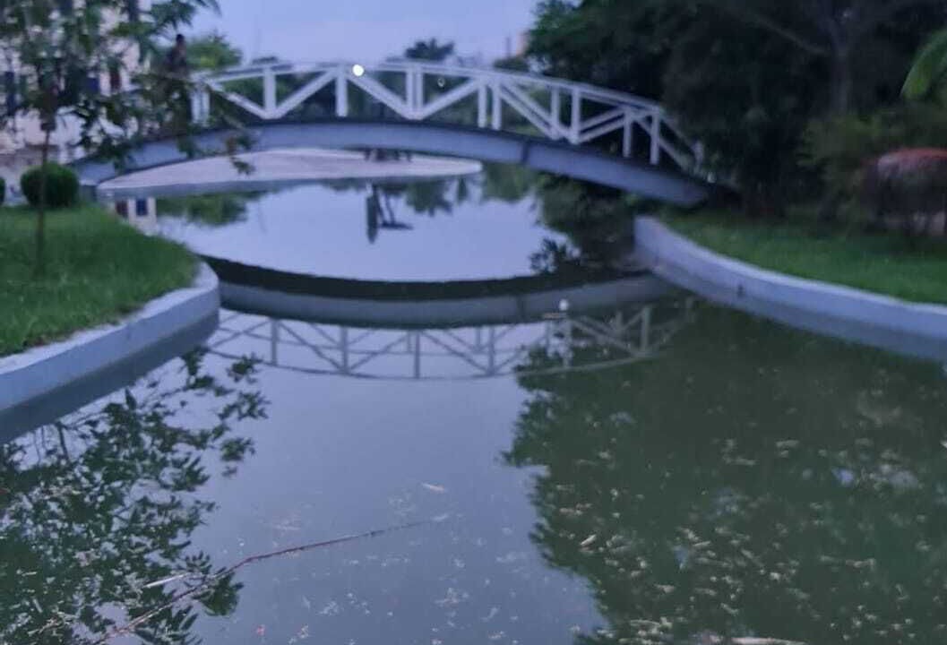 Photo of Outdoor in Dhaka