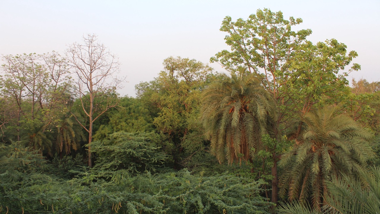 Photo of Outdoor in Rakabganj
