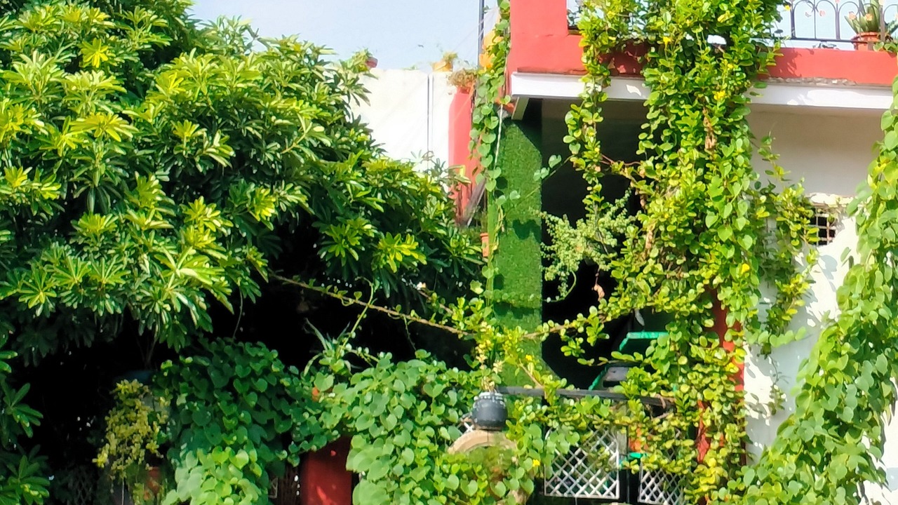 Photo of Outdoor in Mathura