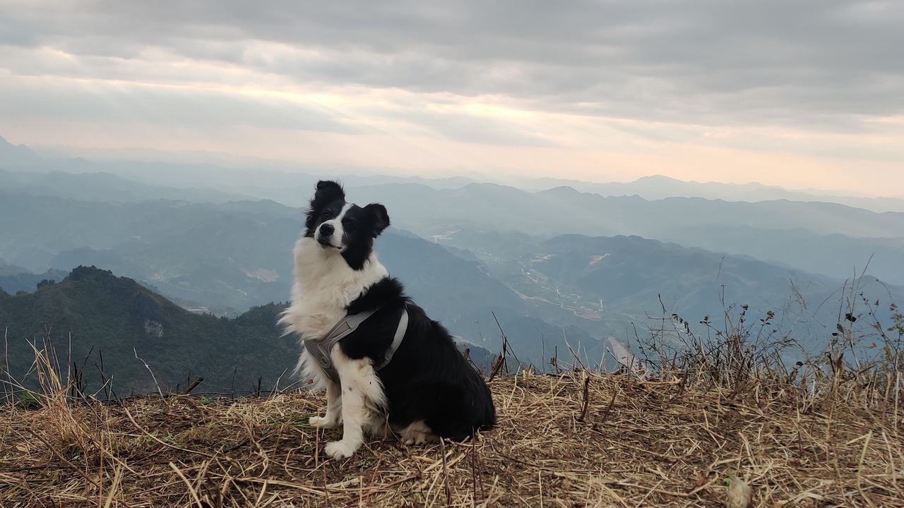 Photo of Outdoor in Yongding