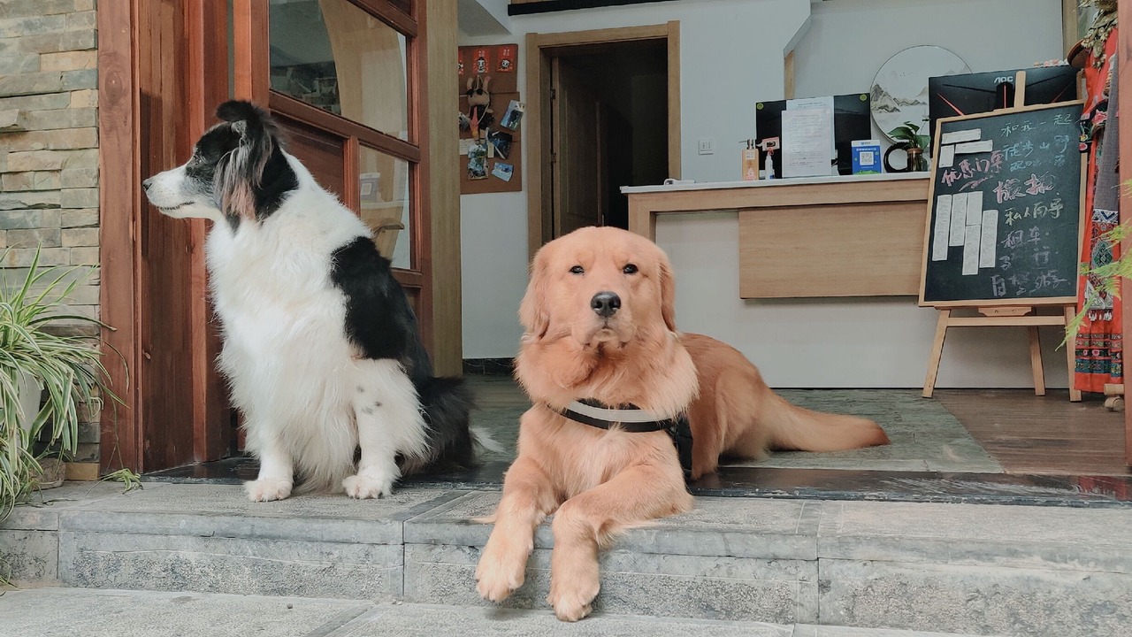Photo of Others in Yongding