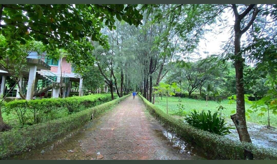 Photo of Outdoor in Cox's Bazar