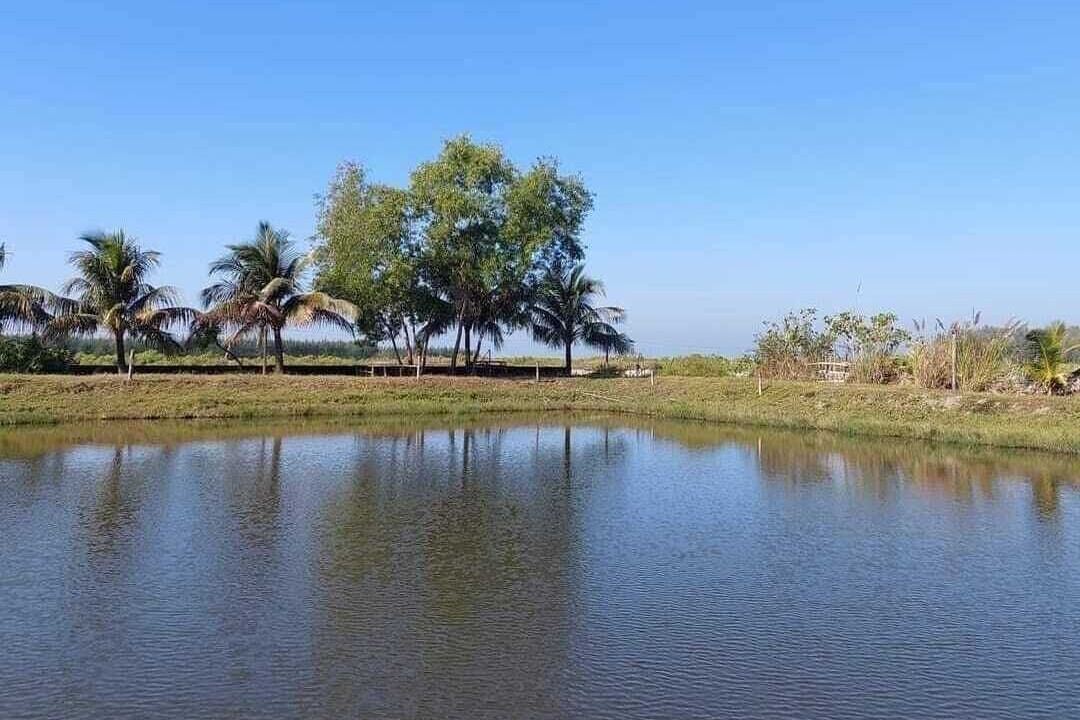 Photo of Outdoor in Cox's Bazar