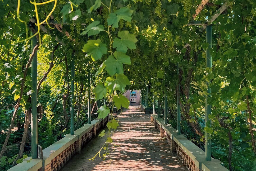 Photo of Outdoor in Gaochang District