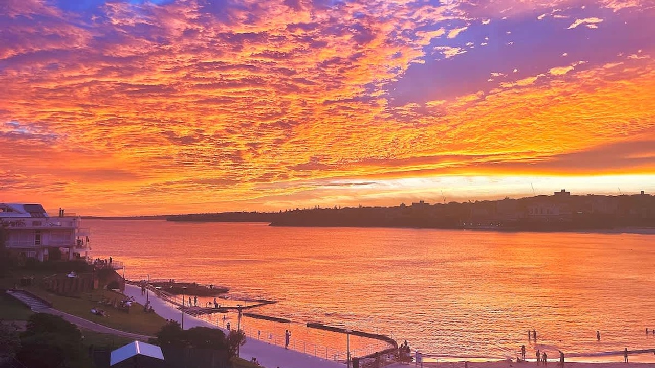 Photo of Others in North Bondi