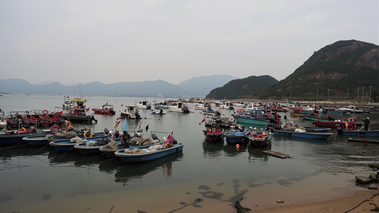Photo of Others in Dapeng