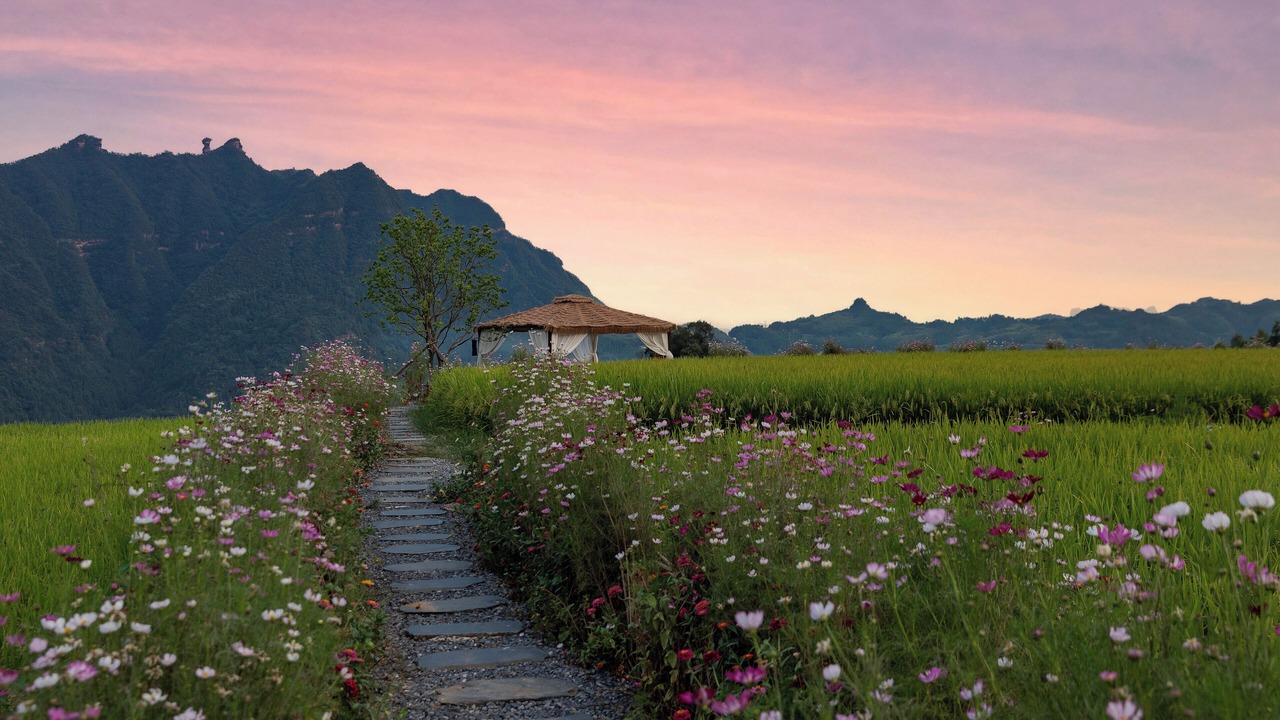 Photo of Outdoor in Wulingyuan