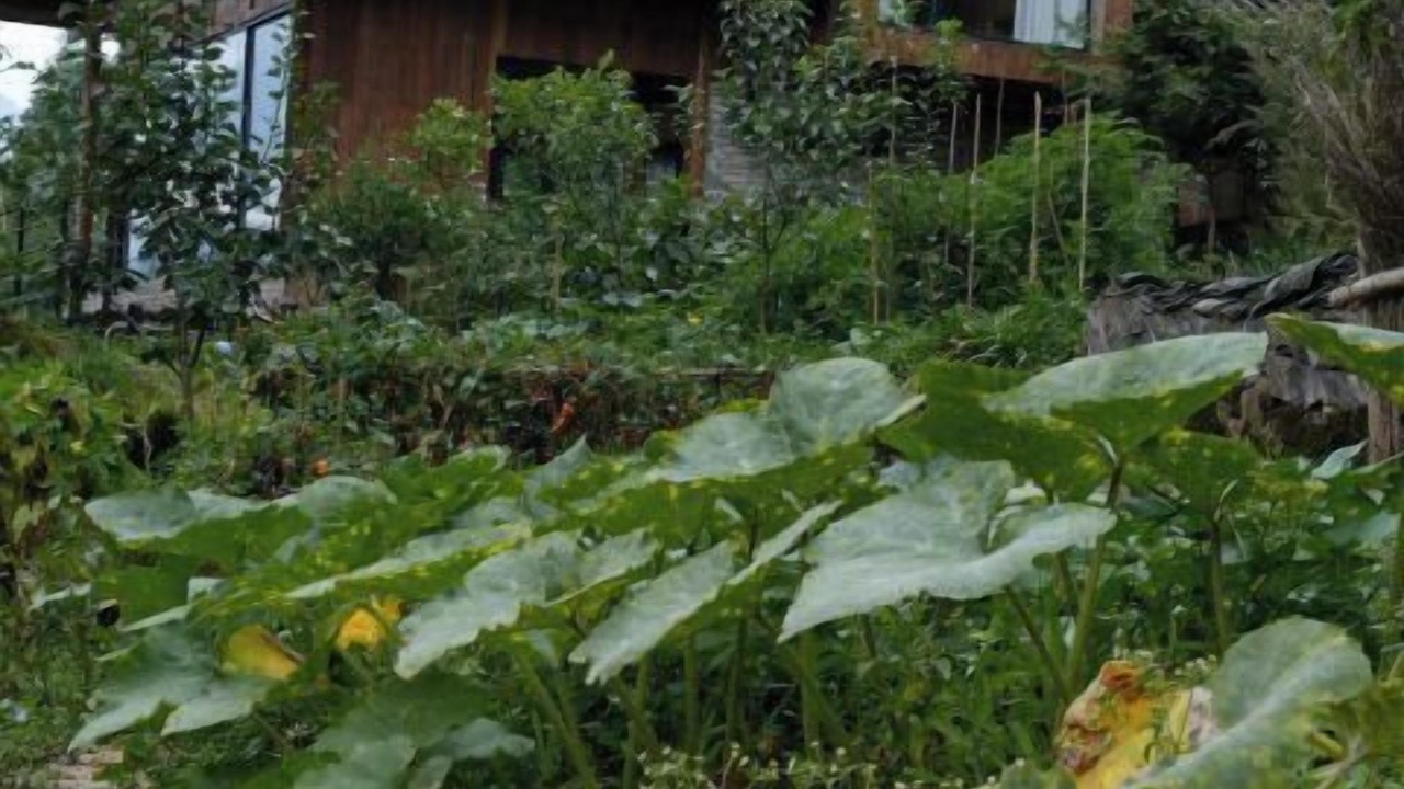 Photo of Outdoor in Shuimo