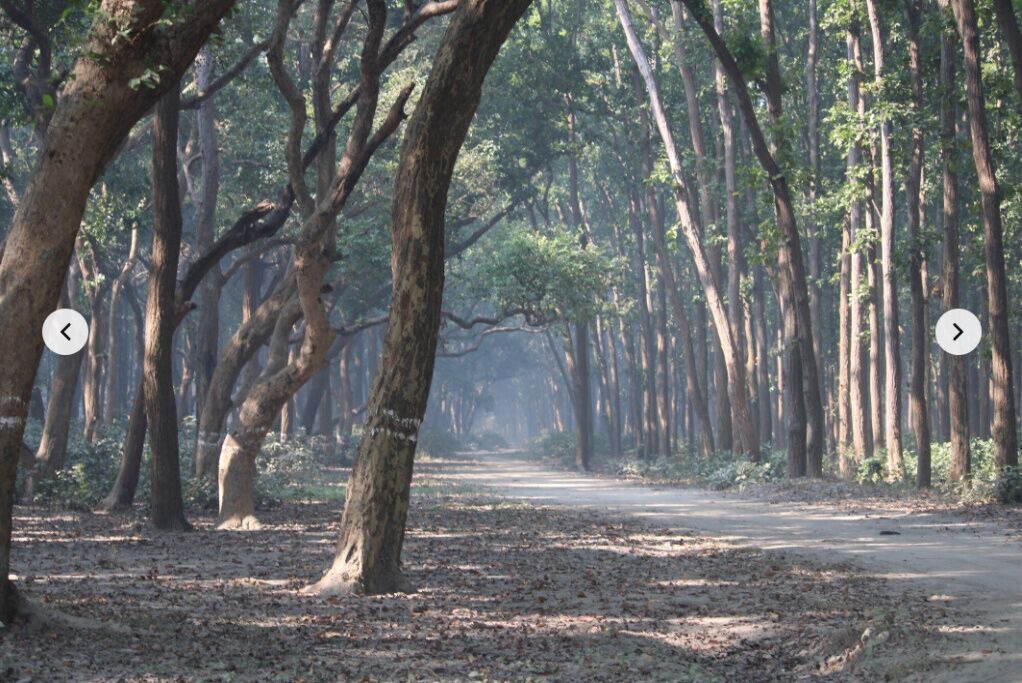 Photo of Others in Puranpur