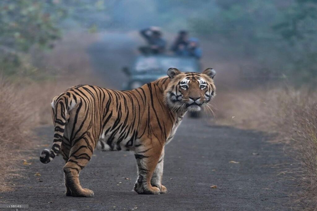 Photo of Others in Puranpur