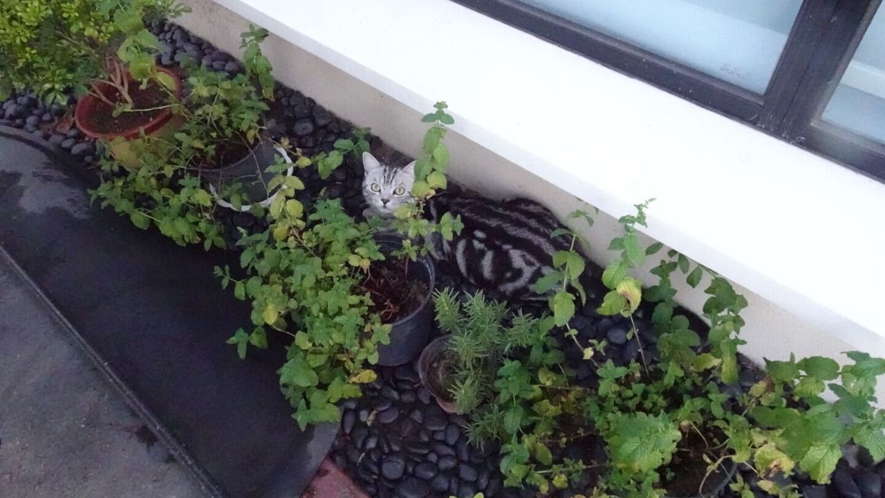 Photo of Patio Balcony in Beilin