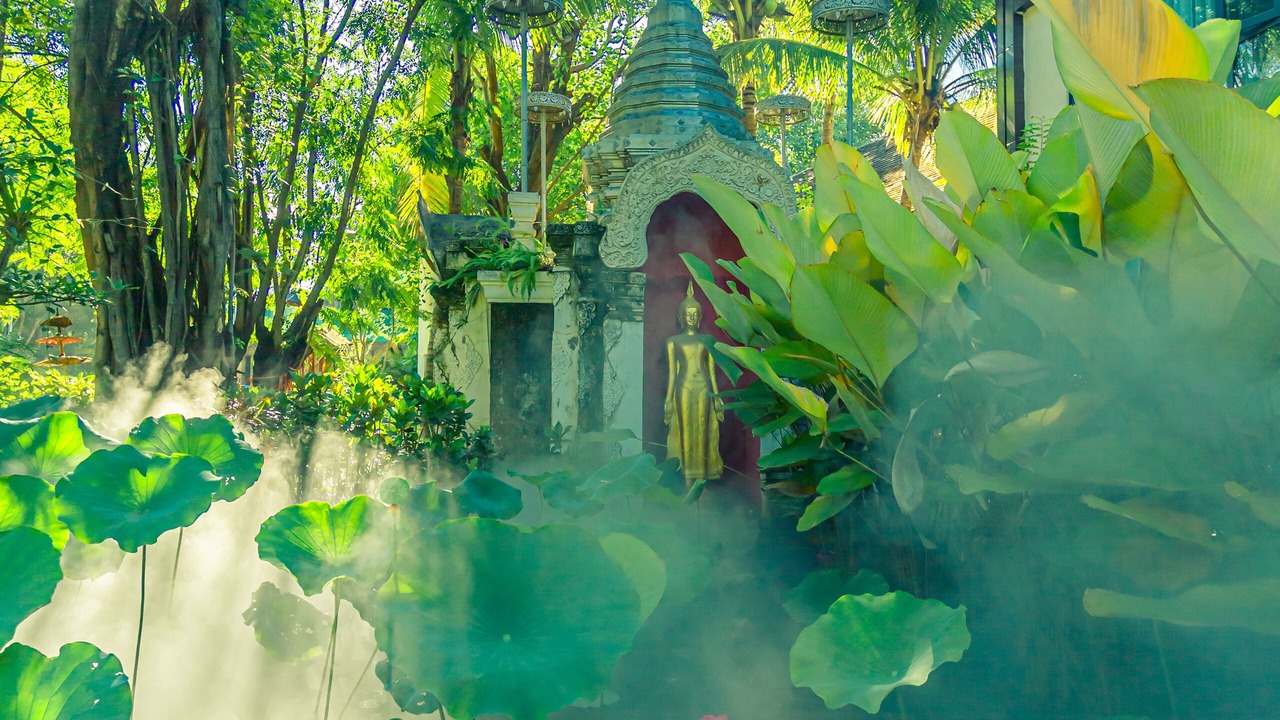 Photo of Outdoor in Jinghong