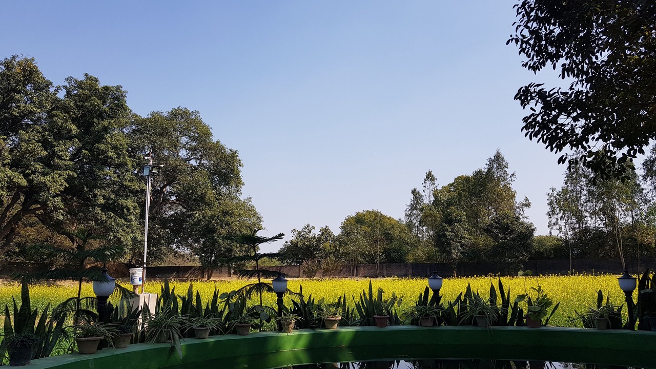Photo of Outdoor in Mohanlalganj