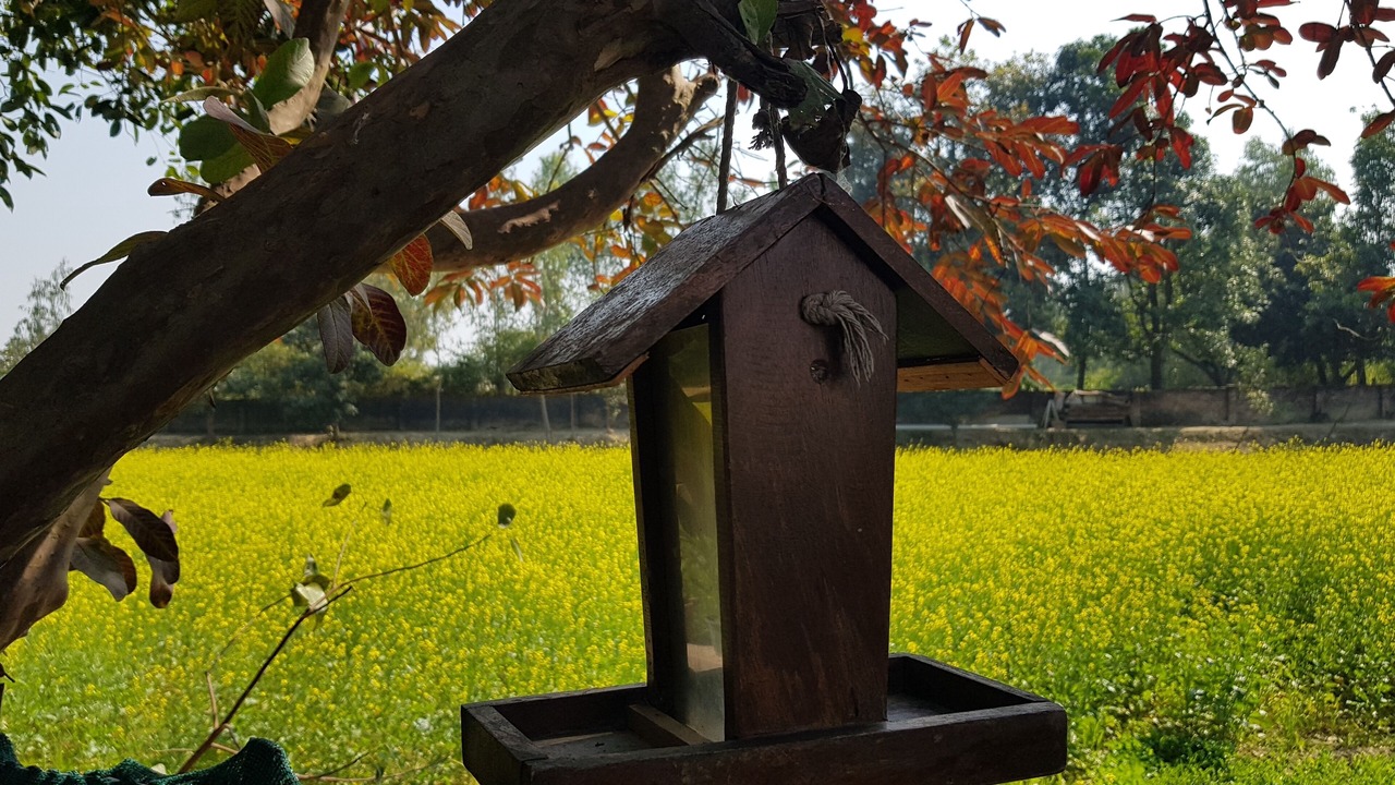 Photo of Outdoor in Mohanlalganj