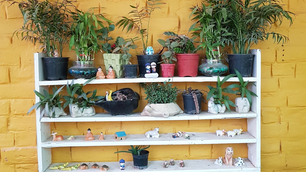 Photo of Outdoor in Mohanlalganj