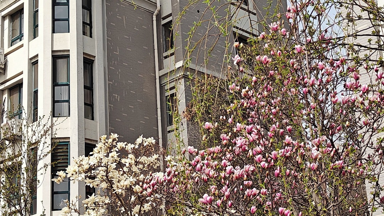 Photo of Outdoor in Chengyang