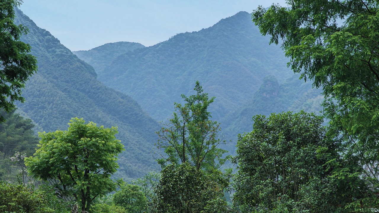 Photo of Outdoor in Anji