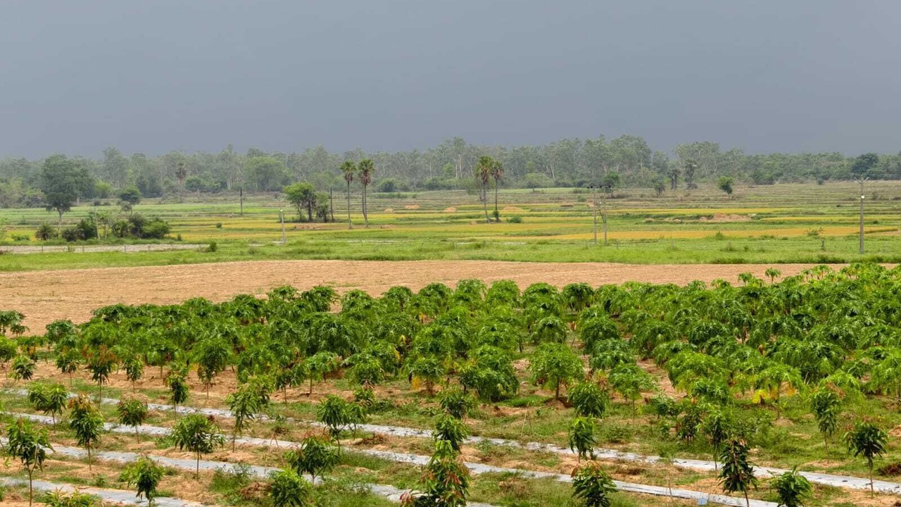 Photo of Others in Bankura