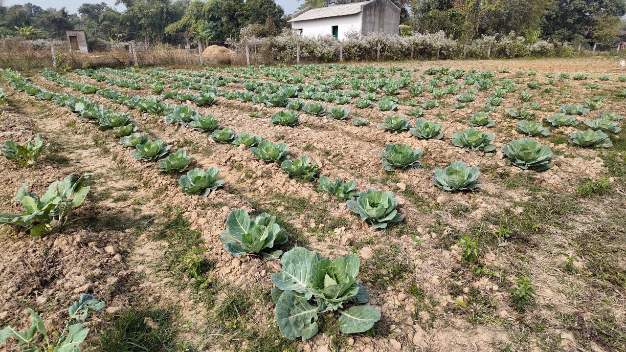 Photo of Outdoor in Bankura