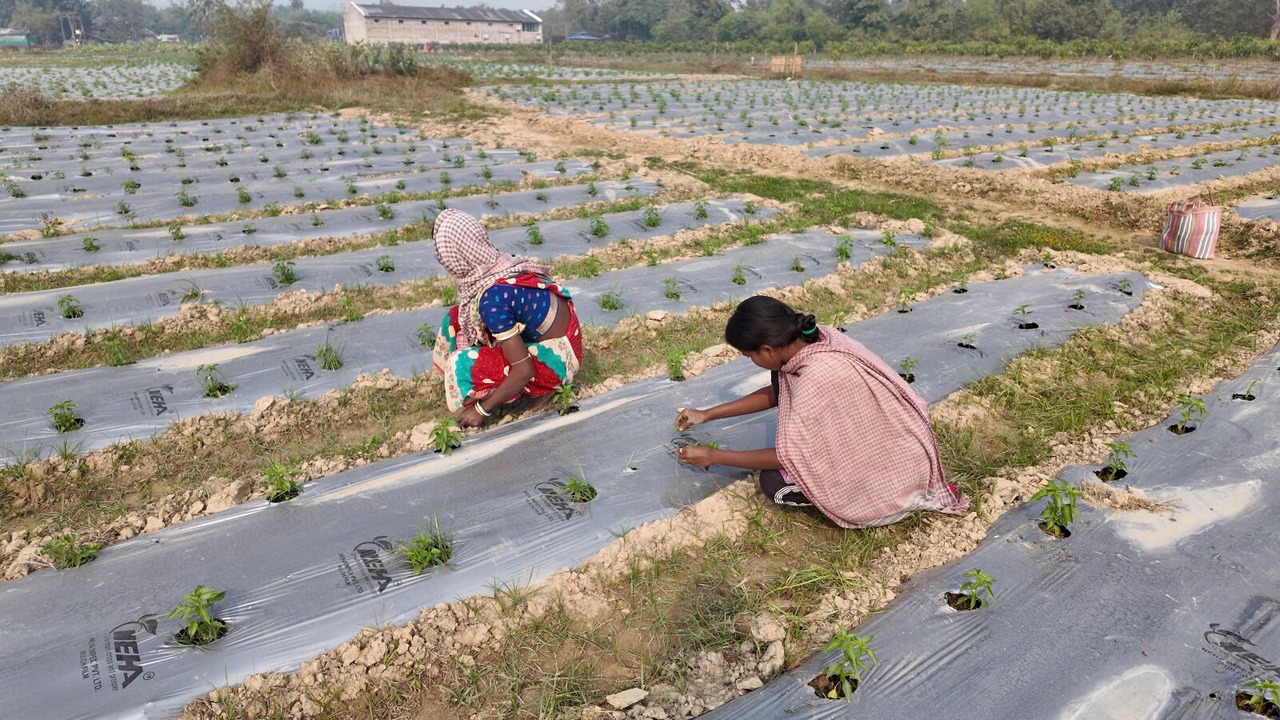 Photo of Others in Bankura