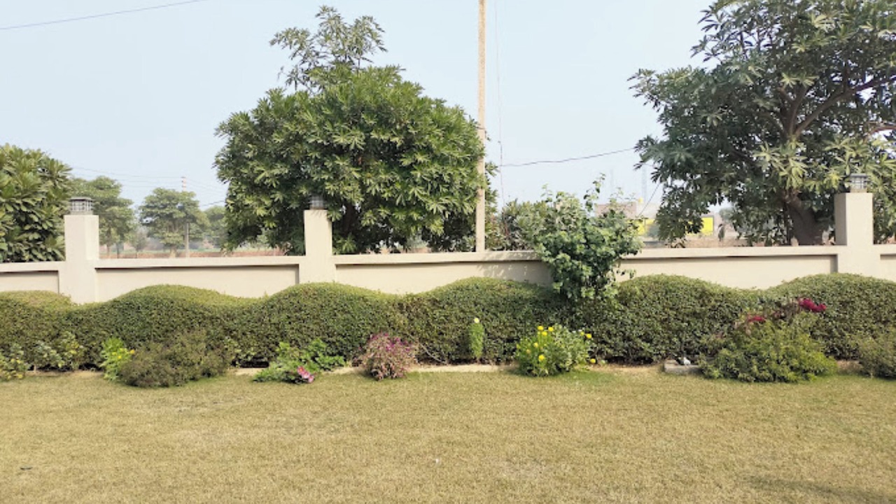 Photo of Outdoor in Mat