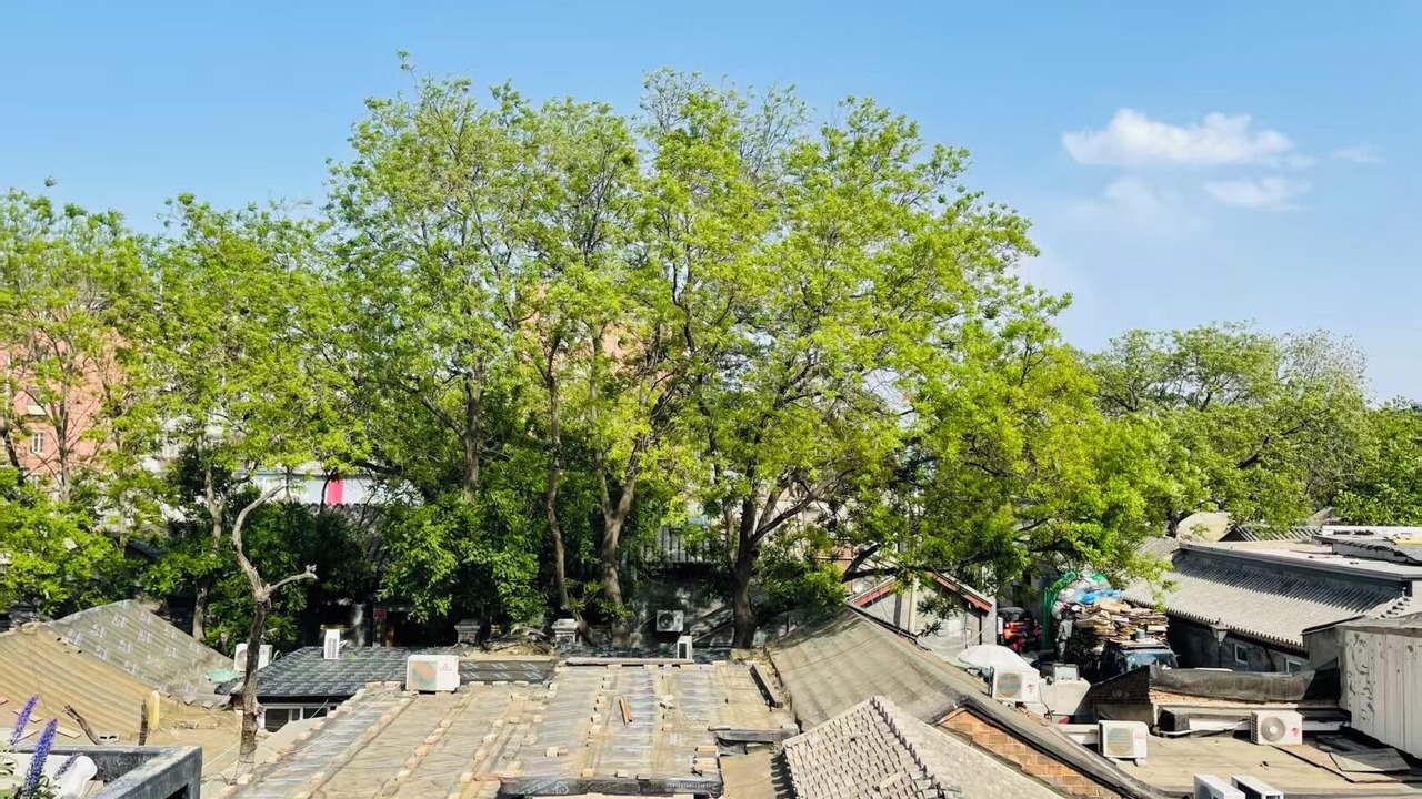 Photo of Others in Dongcheng