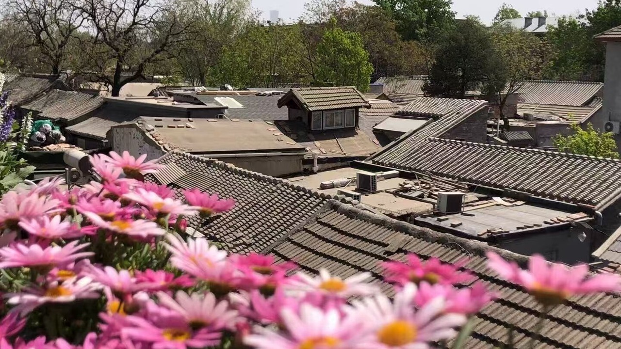 Photo of Others in Dongcheng