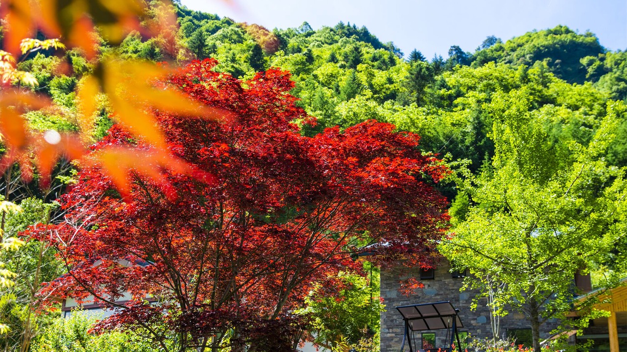 Photo of Outdoor in Wenchuan
