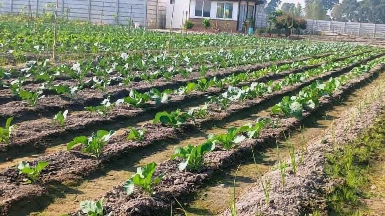 Photo of Outdoor in Pilibhit