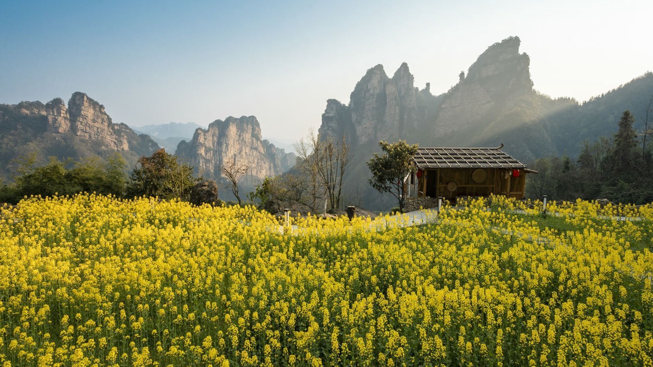 Photo of Outdoor in Wulingyuan