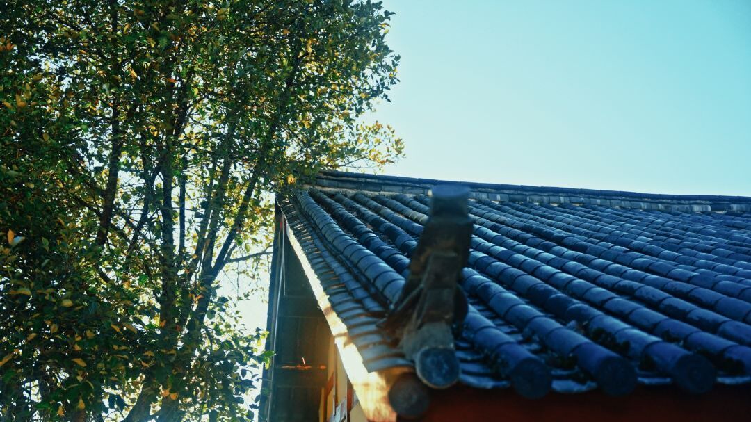 Photo of Outdoor in Gucheng