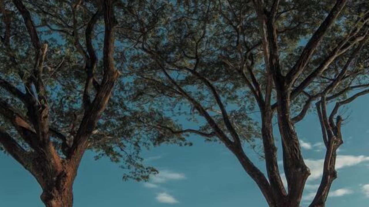 Photo of Outdoor in Haitang District