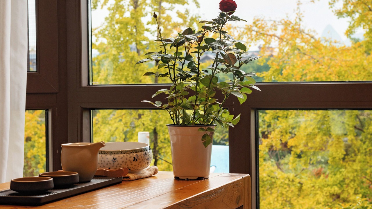 Photo of Bedroom in Qixing