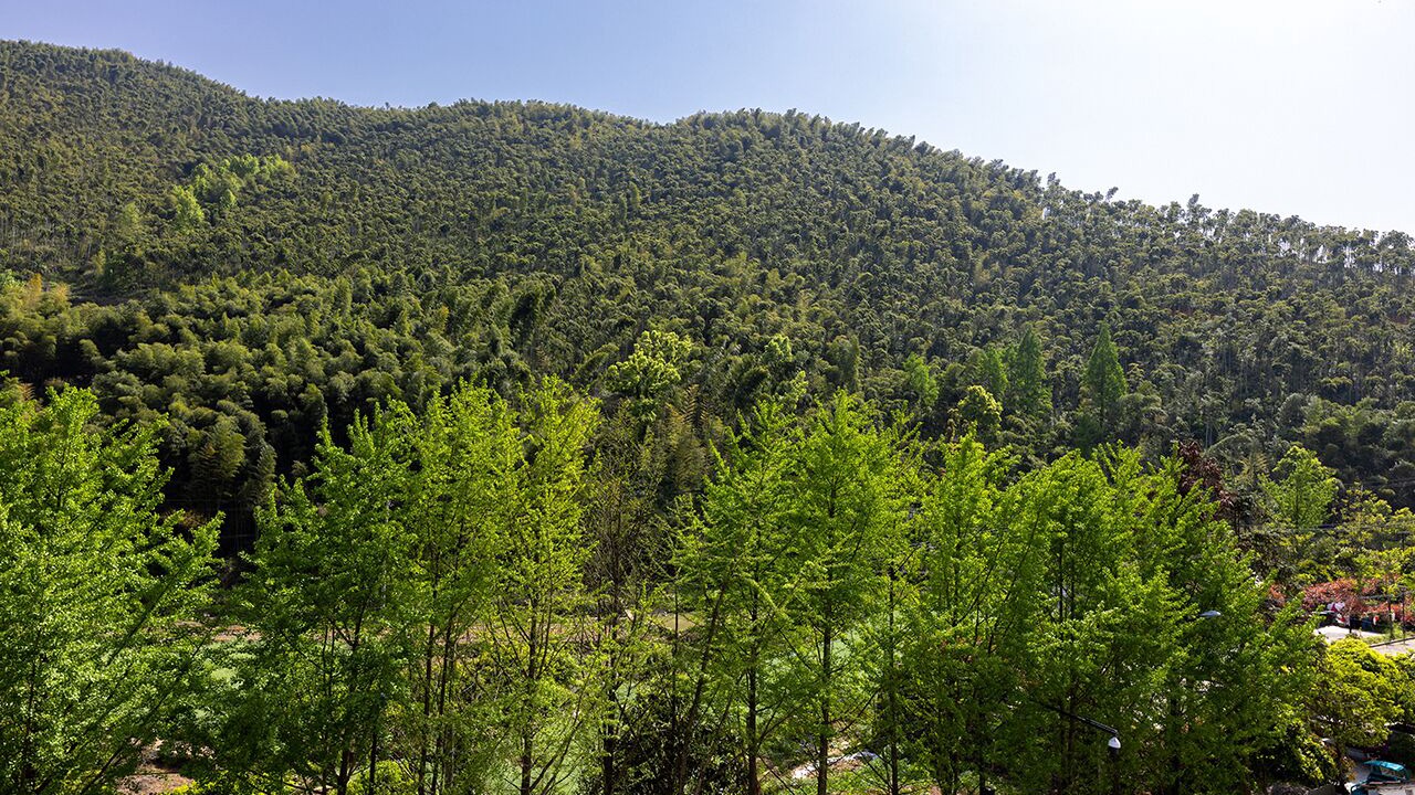 Photo of Bedroom in Tonglu