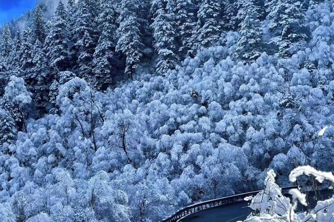 Photo of Others in Jiuzhaigou