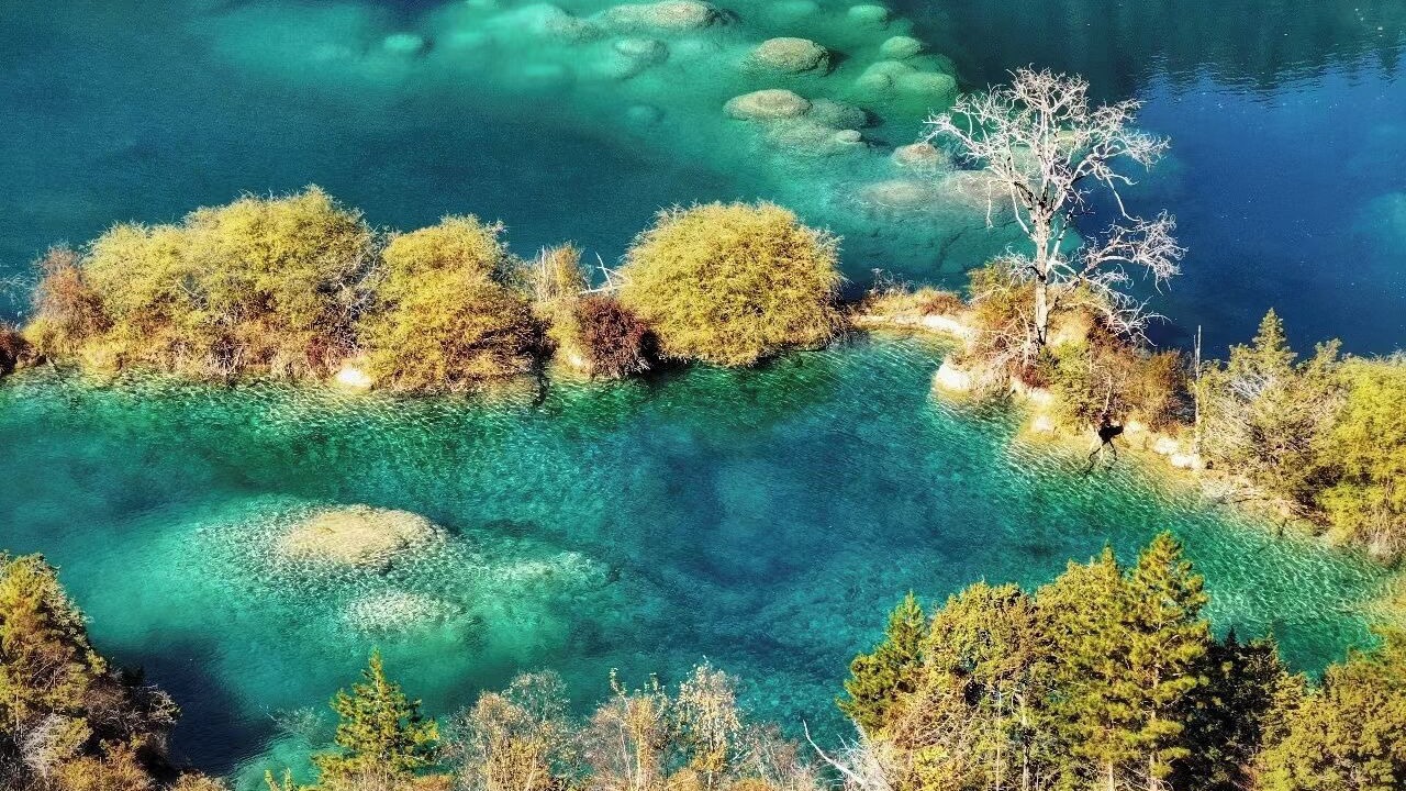 Photo of Others in Jiuzhaigou