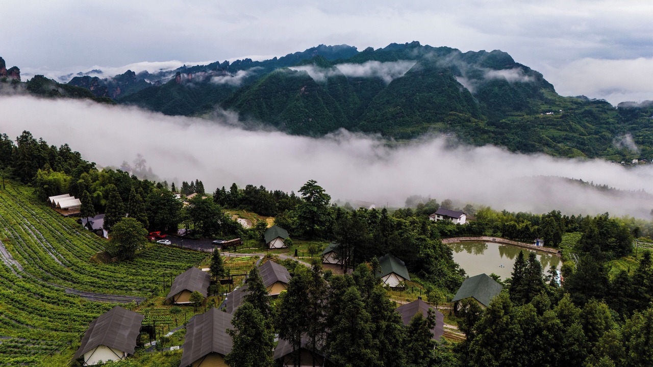 Photo of Others in Wulingyuan