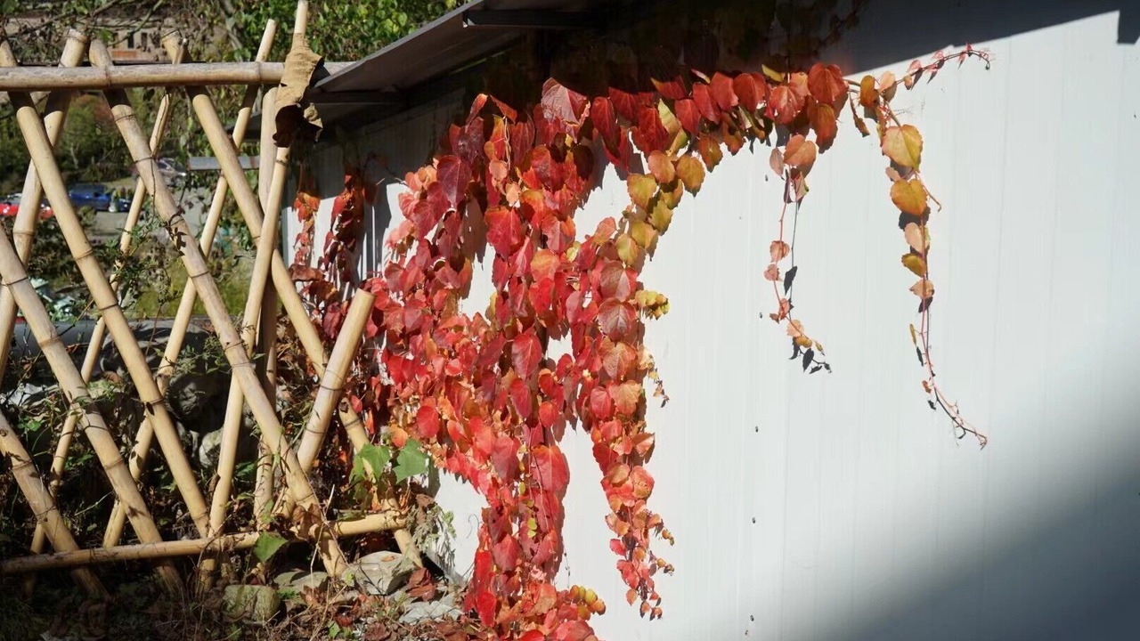 Photo of Outdoor in Wenchuan