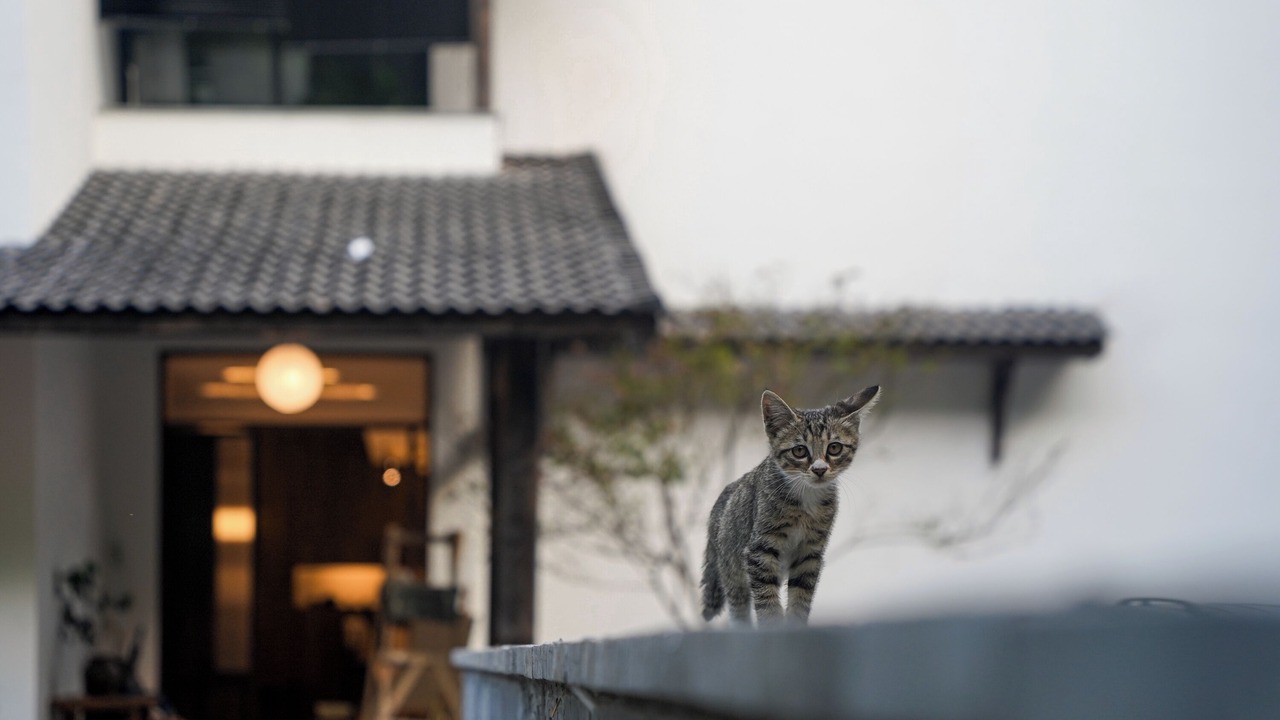 Photo of Outdoor in Anji