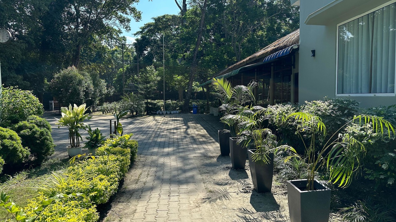 Photo of Outdoor in Bagori