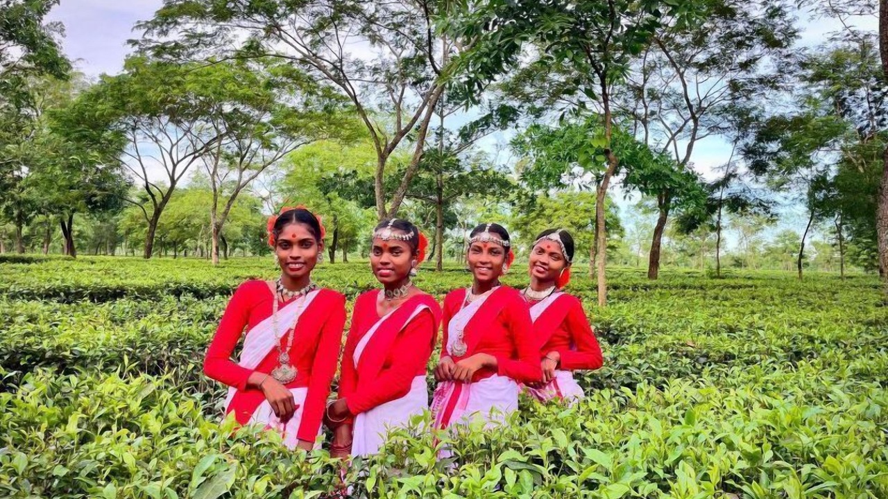Photo of Outdoor in Balipara
