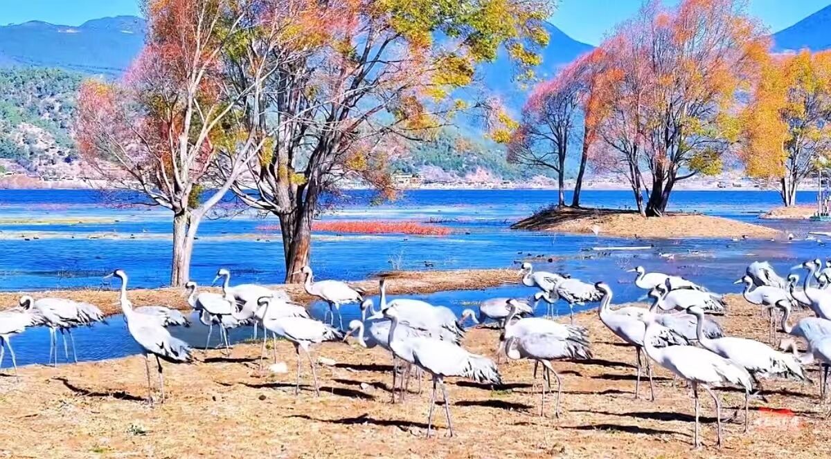 Photo of Others in Gucheng