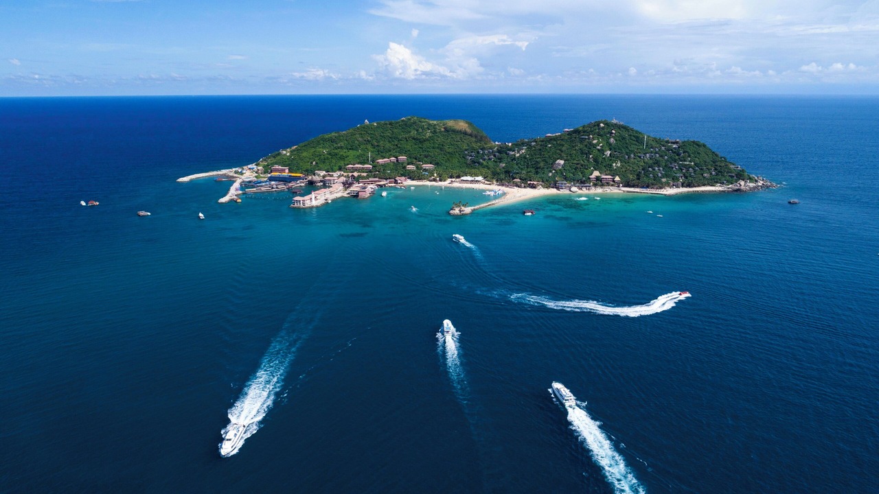 Photo of Others in Perfume Bay