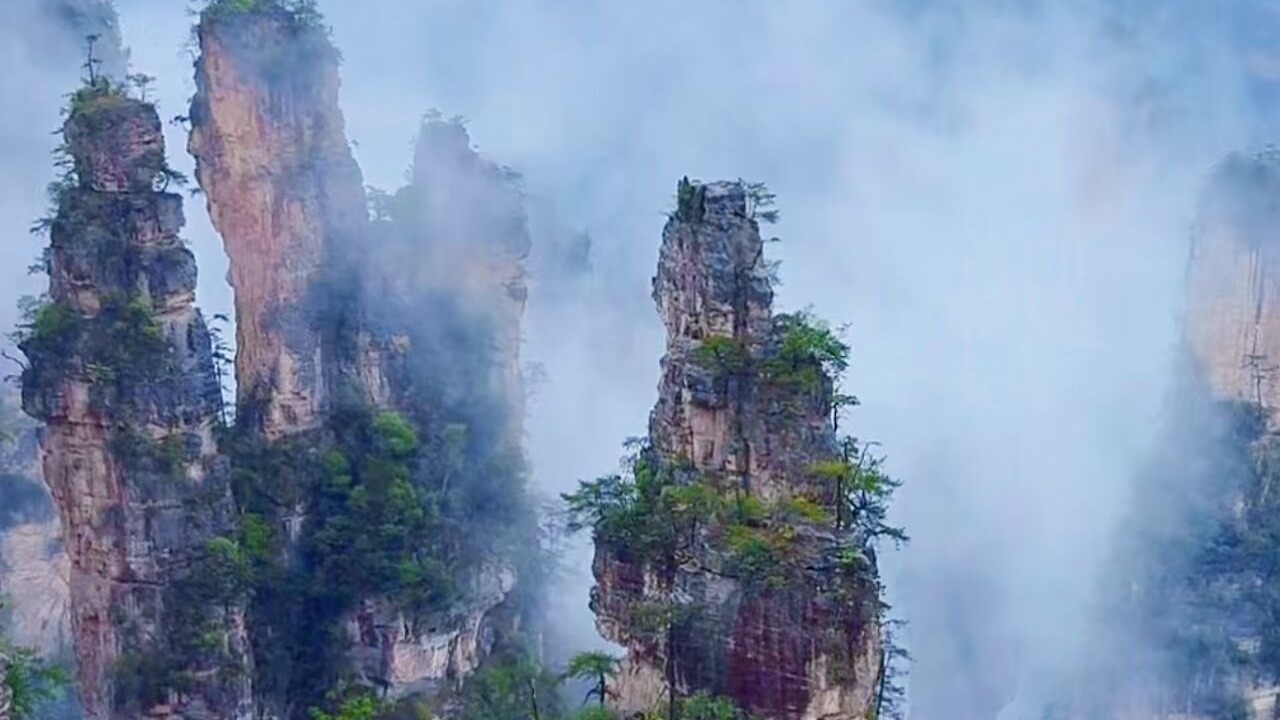 Photo of Others in Wulingyuan