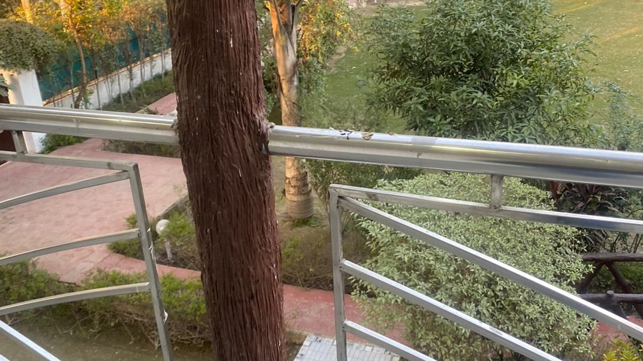 Photo of Patio Balcony in Noida