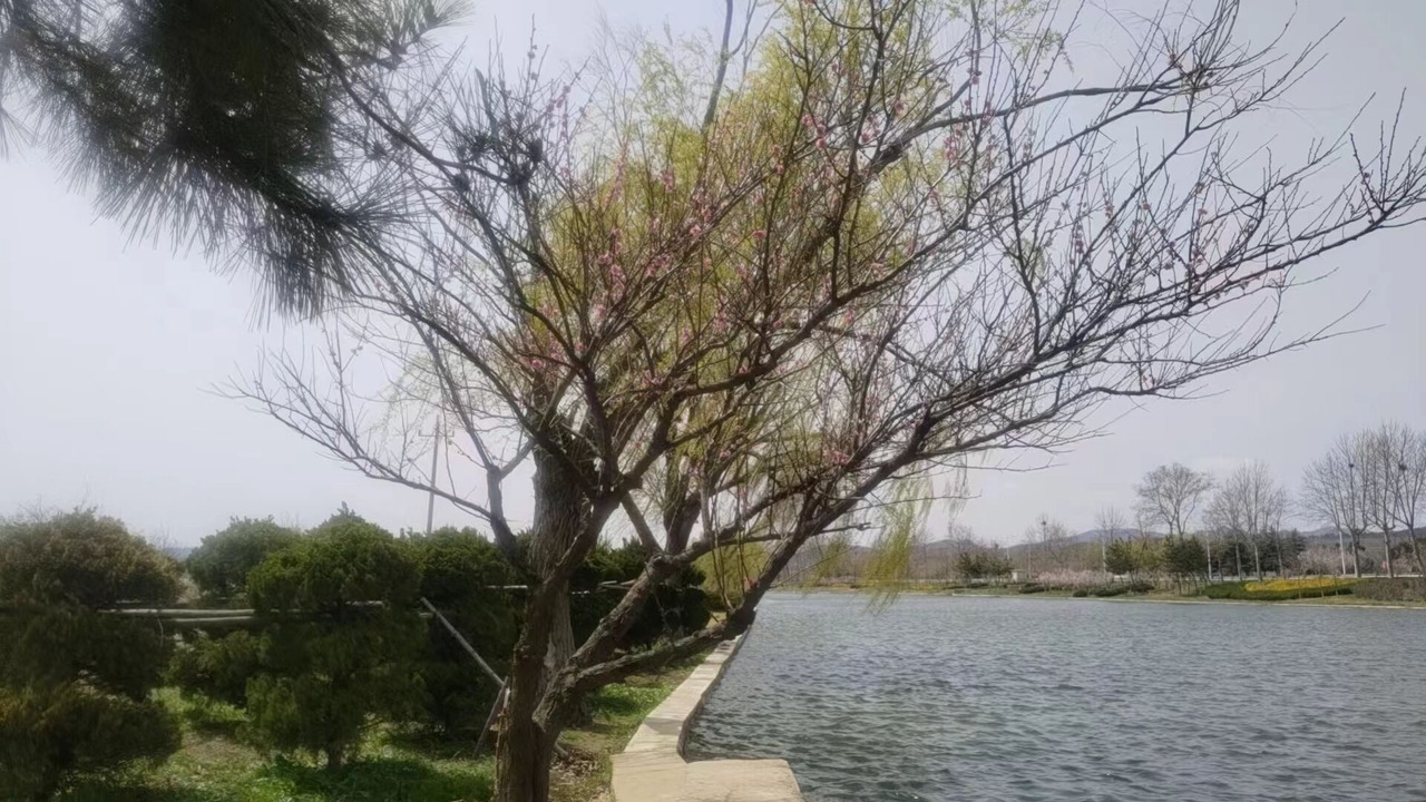 Photo of Others in Weihai