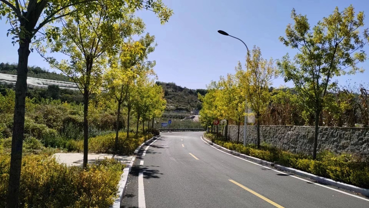 Photo of Others in Weihai