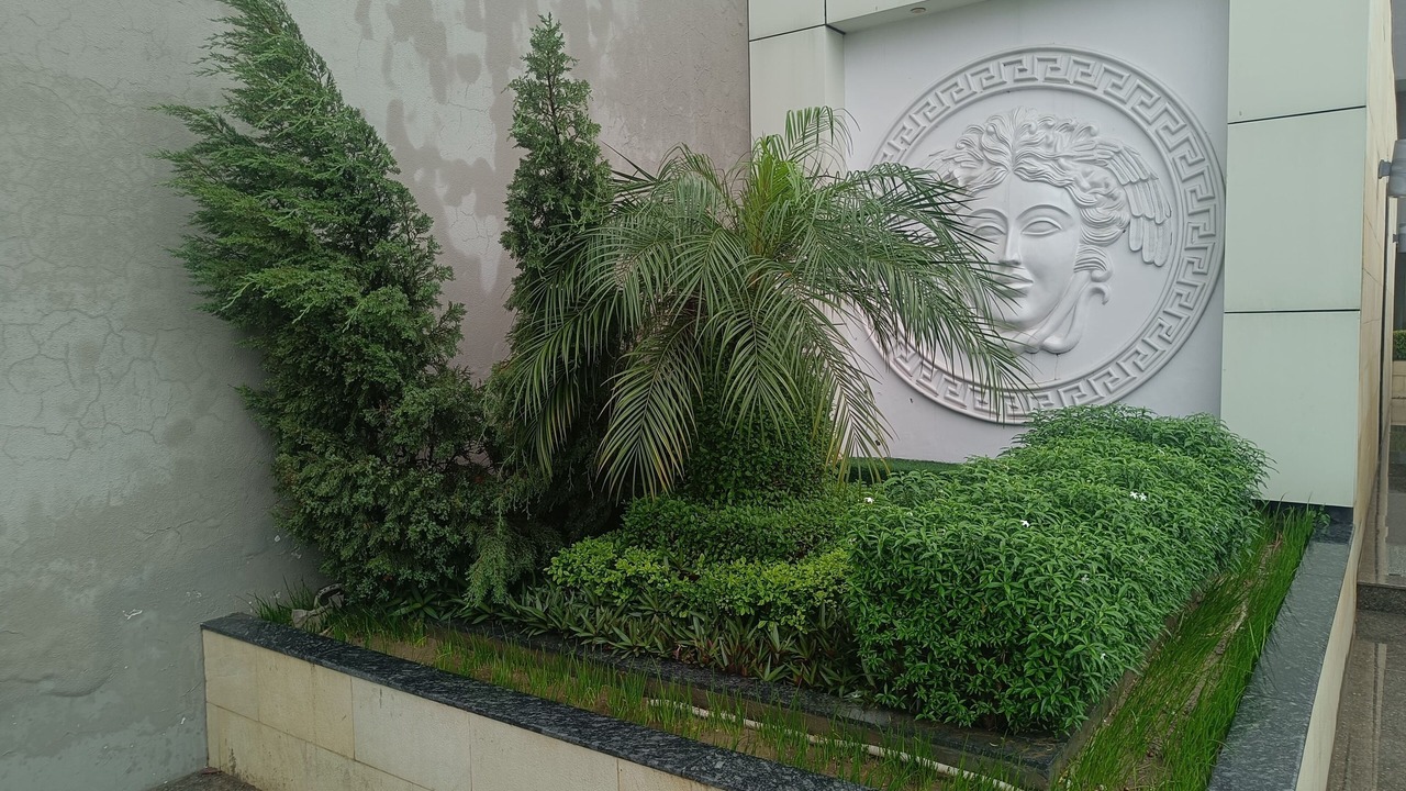 Photo of Outdoor in Pilibhit