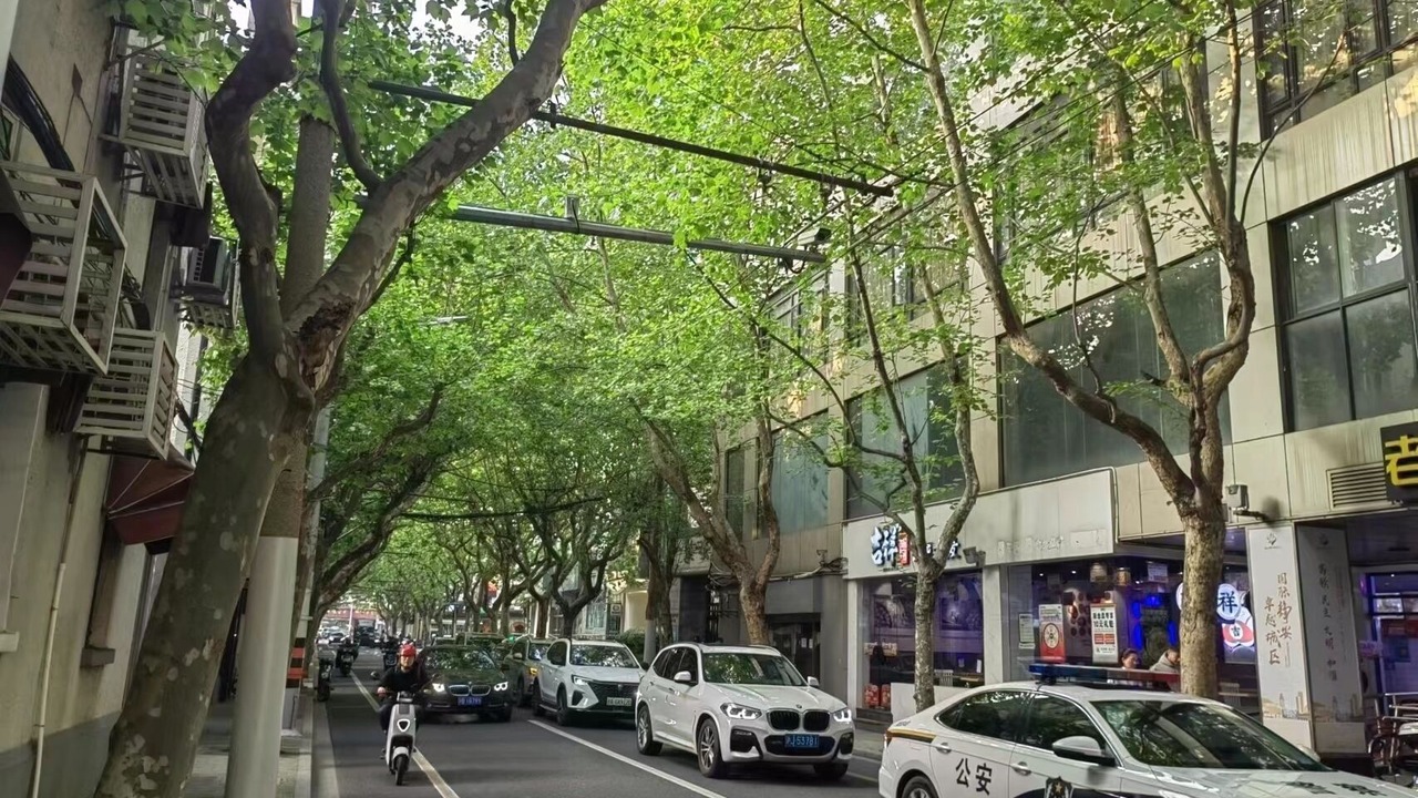 Photo of Outdoor in Jing'an