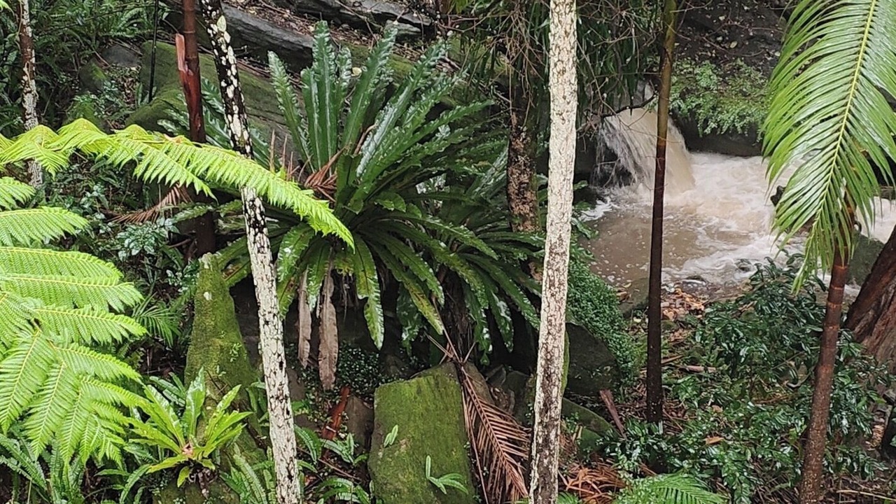 Photo of Outdoor in Killara